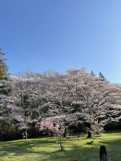 桜ヶ丘公園まで徒歩4分
