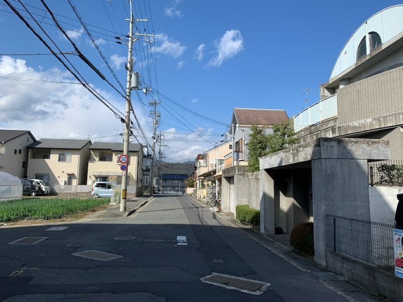 南側から北を向いて撮影