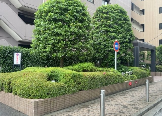 中庭（パティオ）とは、一つの建築物の内部に設けられた、壁などで囲われている庭のことを指します。コの字型、ロの字型が主流ですが、L字型の中庭もあります。最近では、インテリア性の高さからも人気があります。