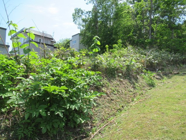 外観：301000102846