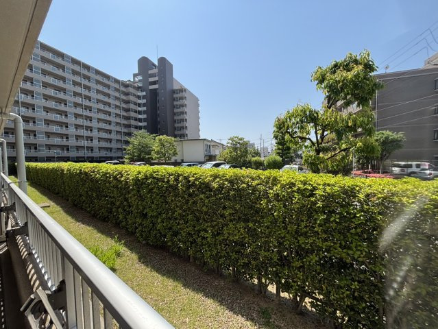 展望