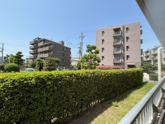 展望