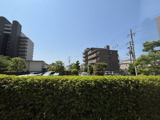 展望