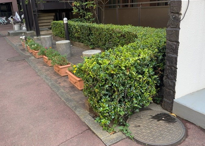 敷地内の中庭空間は緑が豊かで開放感があり、住人同士の心地よい憩いの場となっています。外観タイル張りの洗練された建物に囲まれ、日勤管理により手入れが行き届いた清潔な環境が維持されています。