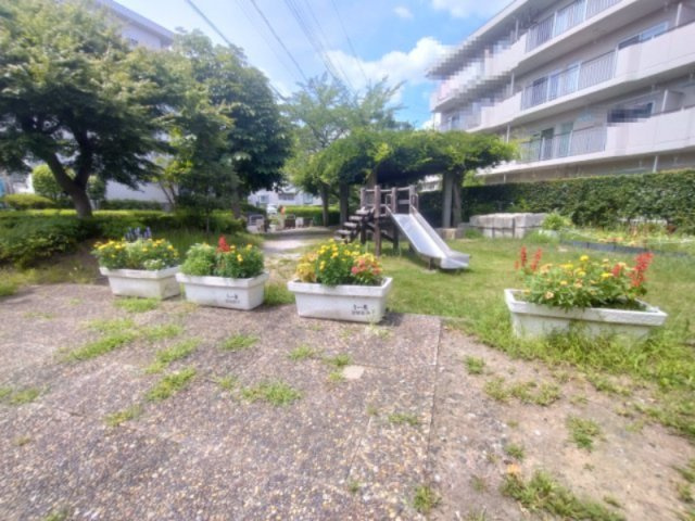 目の前の公園