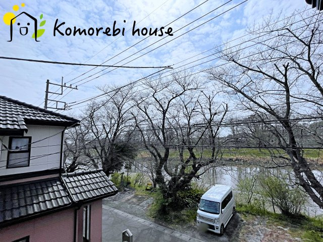 26.3.23撮影済み