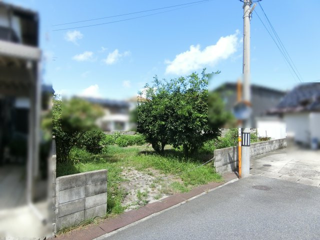 外観：331000019786