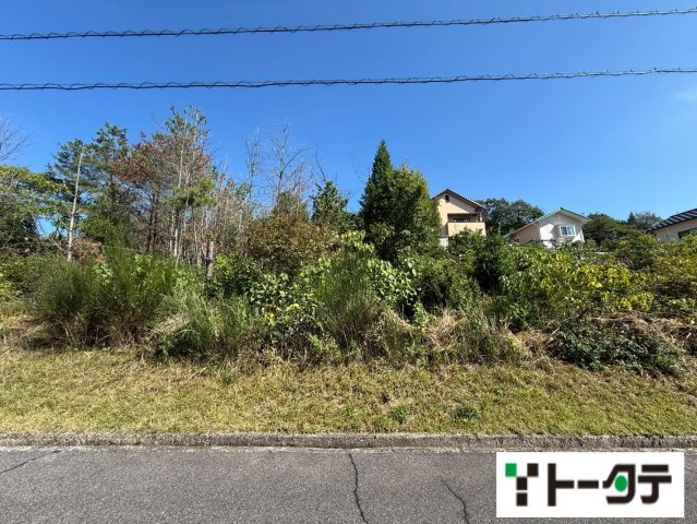 外観：334000202532