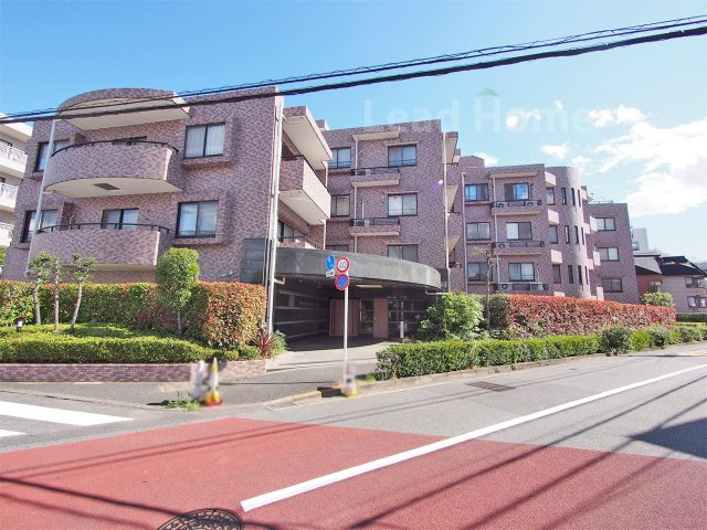 外観：313004684529