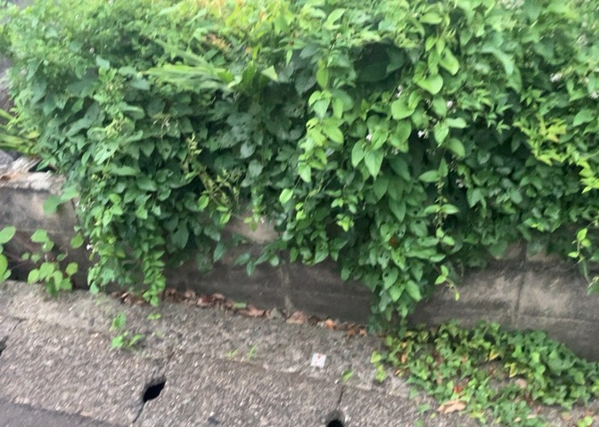 敷地面積188.00？（約56.86坪）のゆとりある敷地には素敵な南庭がございます。陽当たりがとても良く、ガーデニングや家庭菜園、お子様の遊び場など多用途に楽しめる開放的なプライベートスペースです。