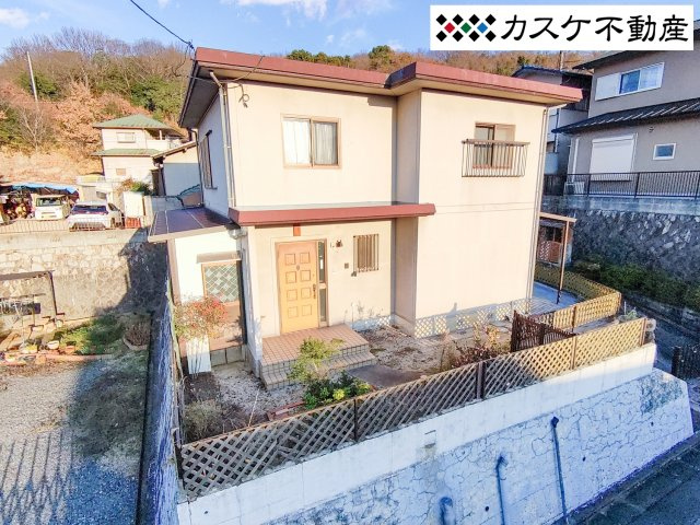 外観：333000053065