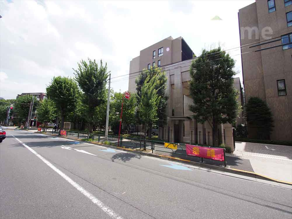 青空と街路樹が広がる見通しの良いフラットな前面道路！歩道が整備されており毎日のお散歩も安心です♪