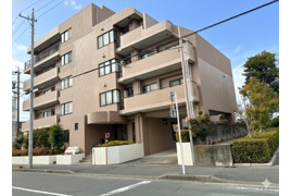 ロイヤルシャトー高丘東の外観
