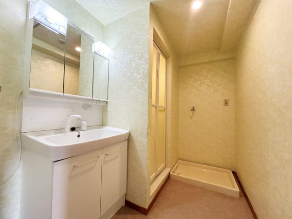 エルグリーンたつみの独立洗面台