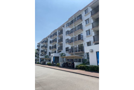 座間入谷ハイツ7号棟の外観