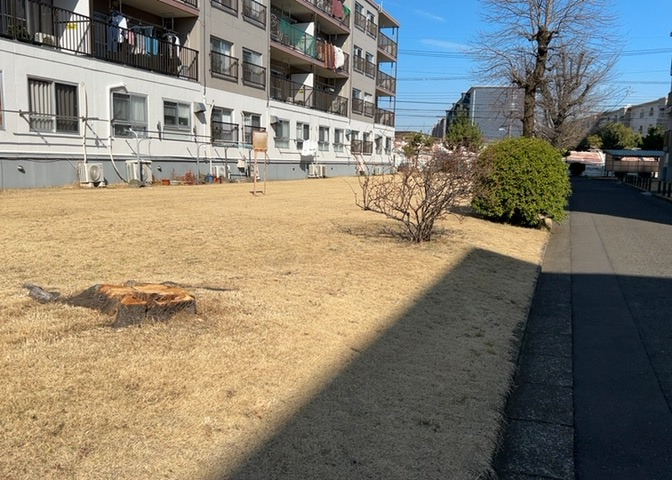 中庭（パティオ）とは、一つの建築物の内部に設けられた、壁などで囲われている庭のことを指します。コの字型、ロの字型が主流ですが、L字型の中庭もあります。最近では、インテリア性の高さからも人気があります。