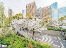 展望