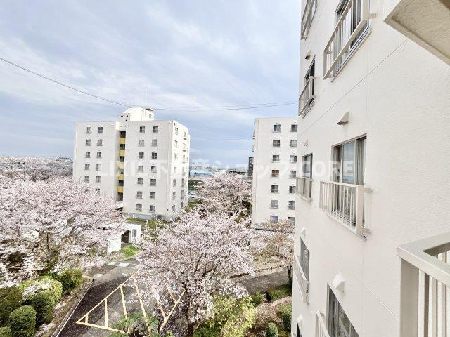 開放感があり、遮るものもなく気持ちのいい景色が広がります。　