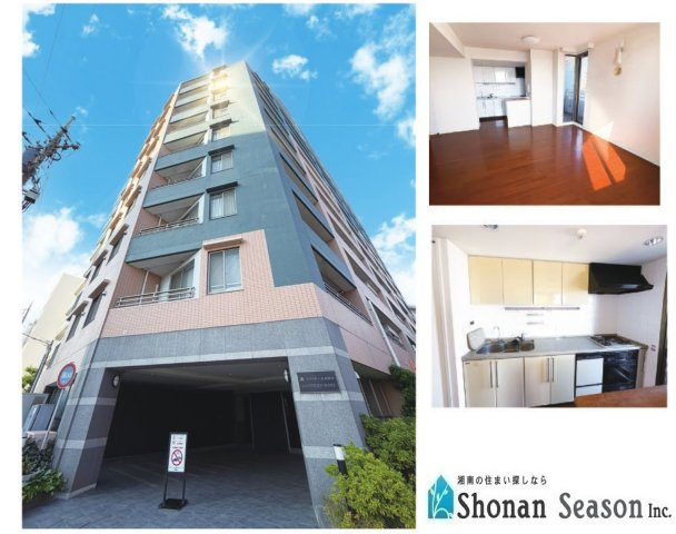 外観：314002691250