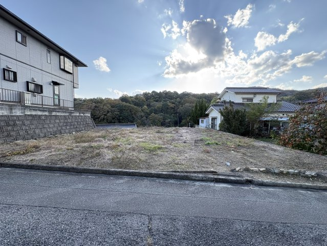 外観：334000228284