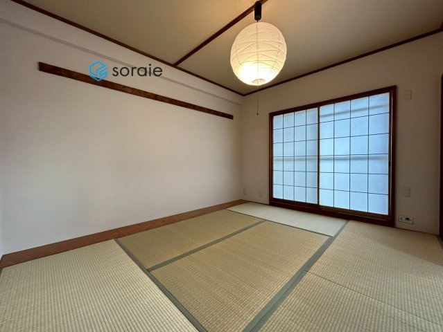 令和7年11月18日撮影。