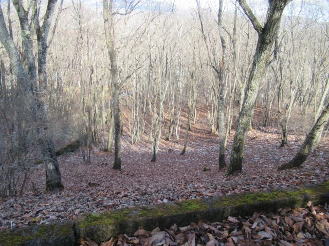 外観：320000023514