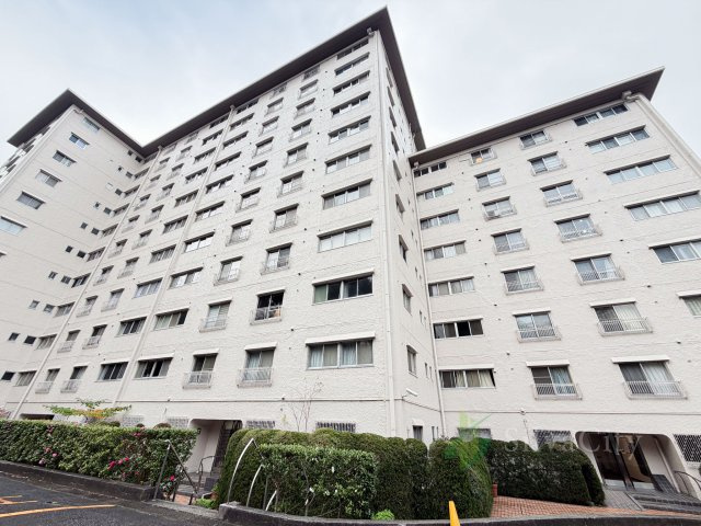 外観：313004679558