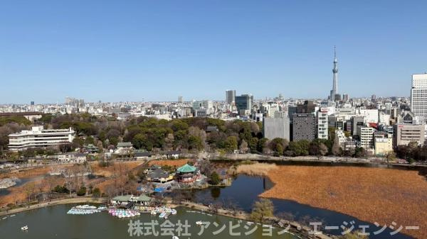 不忍池、上野恩賜公園、東京スカイツリーを一望。都心の利便性と豊かな緑が融合する、唯一無二のロケーションです。