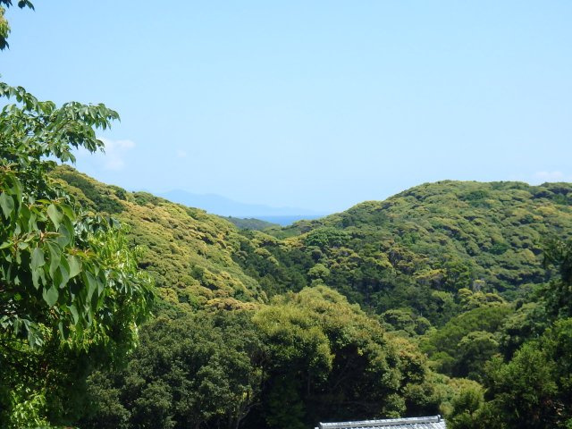 展望