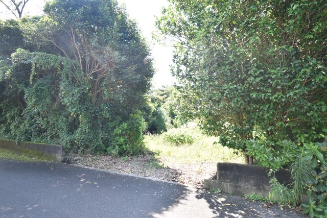 外観：346000035018