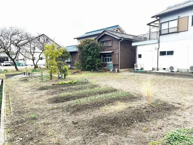 家庭菜園