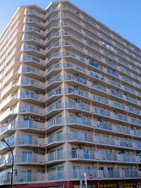 外観：313004701448