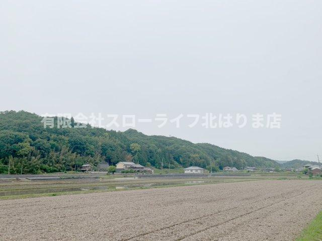 展望