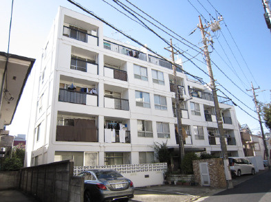 外観：313004690364