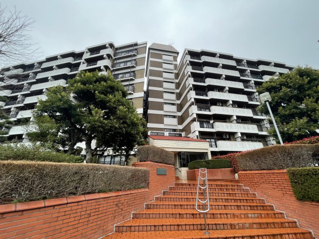 外観：313004744450