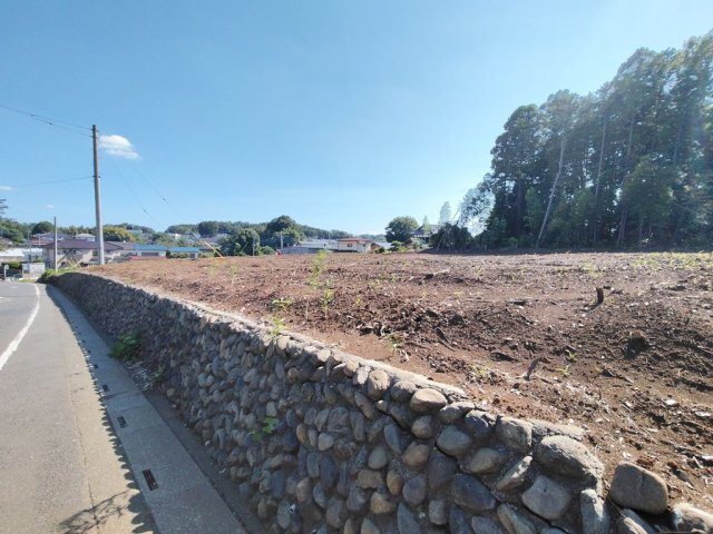 現地（2026年7月）撮影