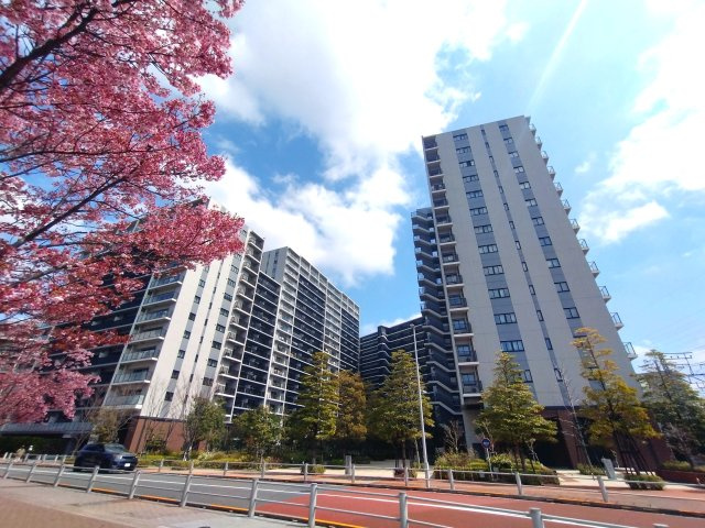 外観：313004697760