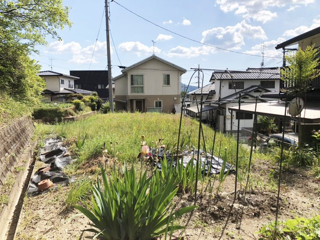 【現地写真】　2026年5月に撮影しました