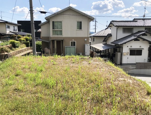 【現地写真】　2026年5月に撮影しました