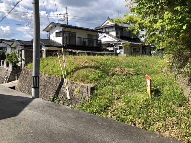 【現地写真】　2026年5月に撮影しました