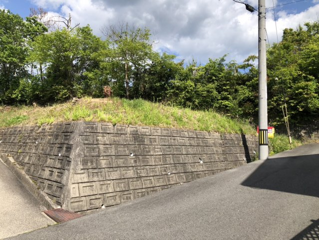 【現地写真】　2026年5月に撮影しました