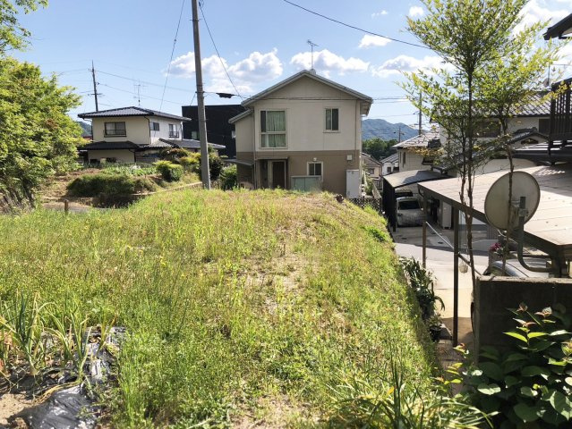 【現地写真】　2026年5月に撮影しました