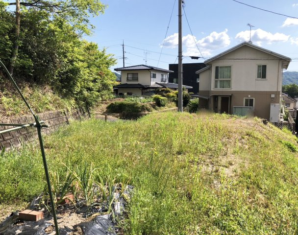【現地写真】　2026年5月に撮影しました