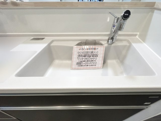 浄水器内蔵型ハンドシャワー