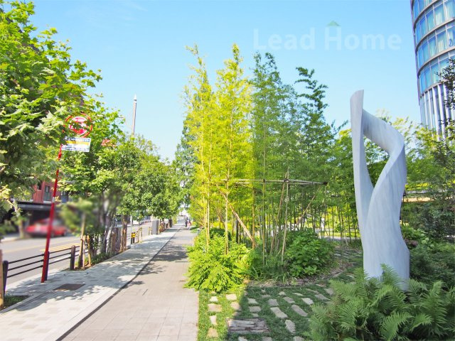 前面道路