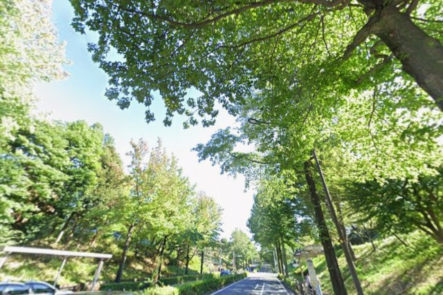 自然が多く、四季折々の景観を楽しめます。