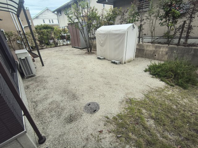 庭