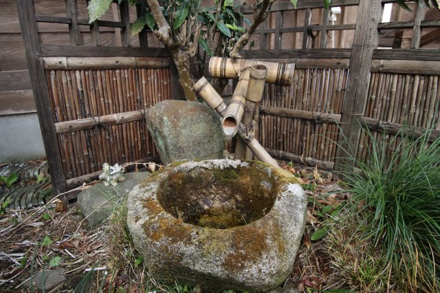 庭