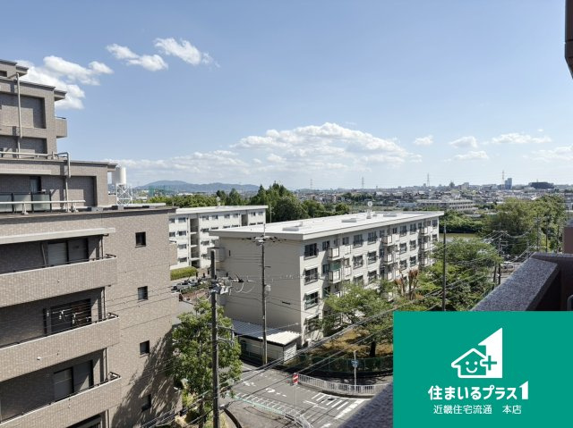 展望