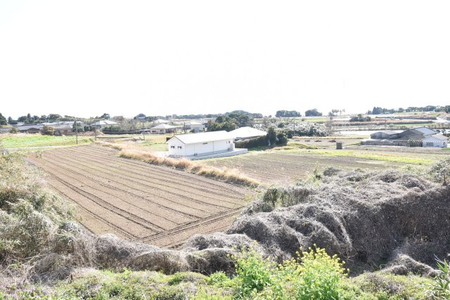 外観：346000041023